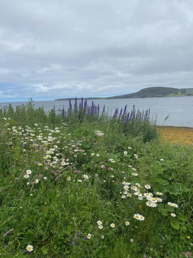 Rocky Harbour Oceanfront Villa Exterior foto